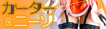 �K�[�^�[ or �j�[�n�C �M���͂ǂ����I�H