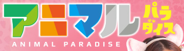 �A�j�}���p���_�C�X
